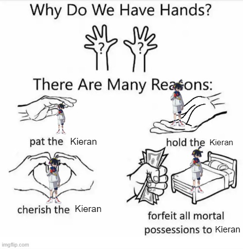 Why do we have hands? (all blank) | Kieran; Kieran; Kieran; Kieran | image tagged in why do we have hands all blank | made w/ Imgflip meme maker