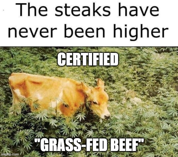 Grass-Fed Beef | CERTIFIED; "GRASS-FED BEEF" | image tagged in satire | made w/ Imgflip meme maker