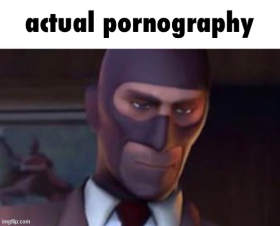 Actual pornography | image tagged in actual pornography | made w/ Imgflip meme maker