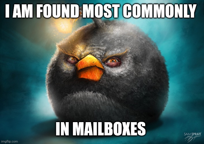 Check your mailbox | I AM FOUND MOST COMMONLY; IN MAILBOXES | image tagged in realistic bomb angry bird | made w/ Imgflip meme maker