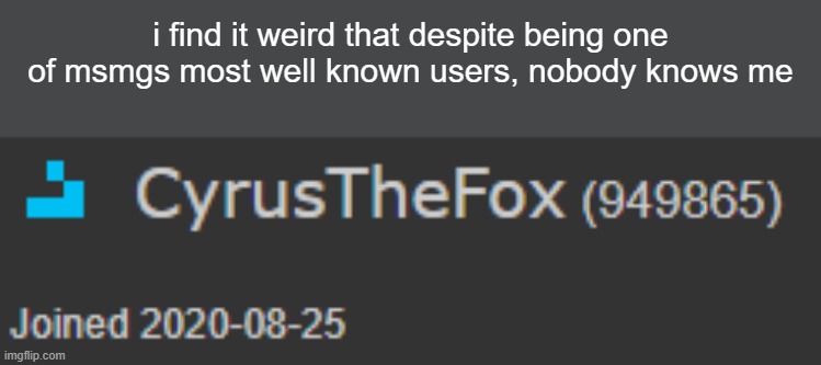 i find it weird that despite being one of msmgs most well known users, nobody knows me | made w/ Imgflip meme maker
