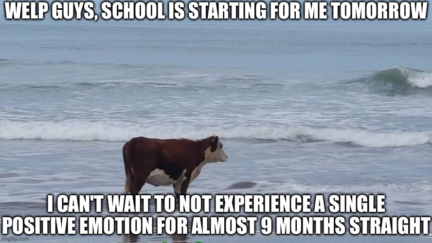 i'll still be here but less active because bye bye free time | WELP GUYS, SCHOOL IS STARTING FOR ME TOMORROW; I CAN'T WAIT TO NOT EXPERIENCE A SINGLE POSITIVE EMOTION FOR ALMOST 9 MONTHS STRAIGHT | image tagged in sad cow,school,last day of summer,brace yourselves school is coming,ah shit here we go again | made w/ Imgflip meme maker