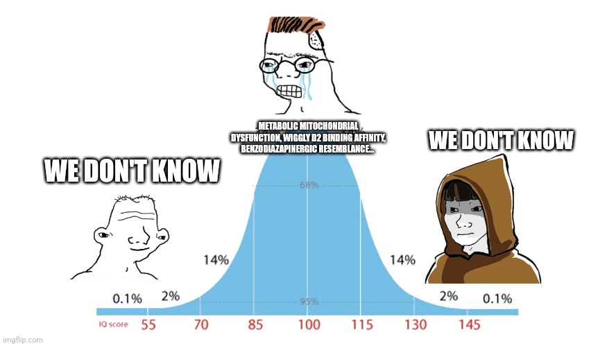 Normal Distribution meme | METABOLIC MITOCHONDRIAL DYSFUNCTION, WIGGLY D2 BINDING AFFINITY, BENZODIAZAPINERGIC RESEMBLANCE... WE DON'T KNOW; WE DON'T KNOW | image tagged in normal distribution meme | made w/ Imgflip meme maker