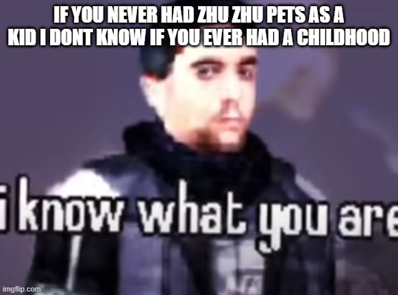 Barney knows what you are | IF YOU NEVER HAD ZHU ZHU PETS AS A KID I DONT KNOW IF YOU EVER HAD A CHILDHOOD | image tagged in barney knows what you are | made w/ Imgflip meme maker
