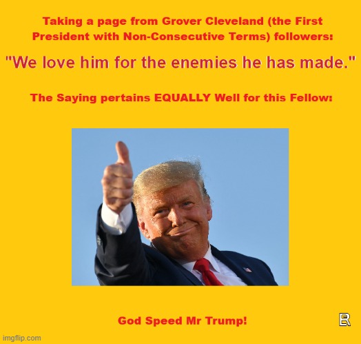 We love him for the enemies he has made | image tagged in president trump | made w/ Imgflip meme maker