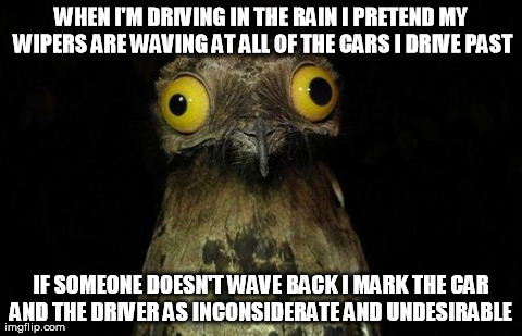 Weird Stuff I Do Potoo Meme | WHEN I'M DRIVING IN THE RAIN I PRETEND MY WIPERS ARE WAVING AT ALL OF THE CARS I DRIVE PAST IF SOMEONE DOESN'T WAVE BACK I MARK THE CAR AND  | image tagged in memes,weird stuff i do potoo,AdviceAnimals | made w/ Imgflip meme maker