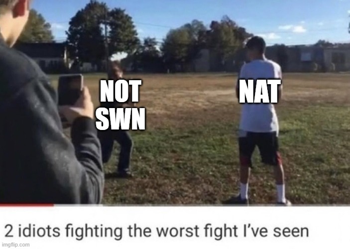 swn is not an idiot imo | NOT SWN; NAT | image tagged in two idiots fighting | made w/ Imgflip meme maker