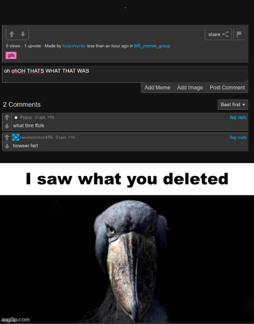 it was a very very very very tiny gif of bowser fart | image tagged in i saw what you deleted | made w/ Imgflip meme maker