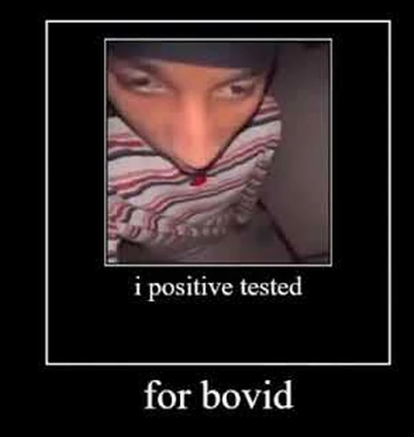 i positive tested for bovid Blank Meme Template