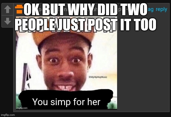 Irony | OK BUT WHY DID TWO PEOPLE JUST POST IT TOO | image tagged in irony | made w/ Imgflip meme maker