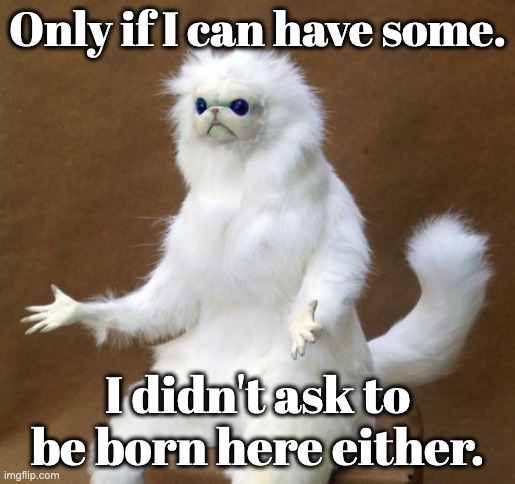 Persian white monkey | Only if I can have some. I didn't ask to be born here either. | image tagged in persian white monkey | made w/ Imgflip meme maker