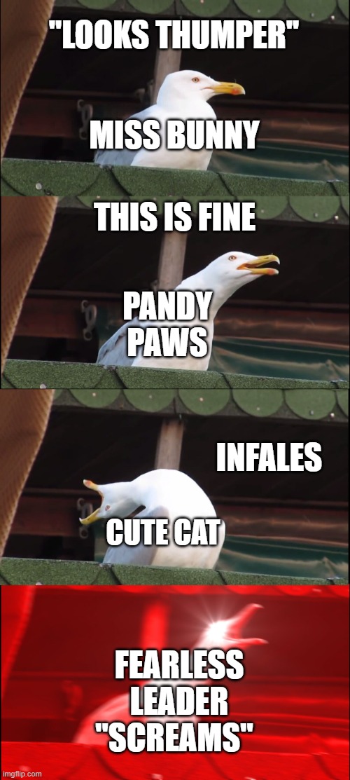 reacting to thumper | "LOOKS THUMPER''; MISS BUNNY; THIS IS FINE; PANDY PAWS; INFALES; CUTE CAT; FEARLESS LEADER; "SCREAMS'' | image tagged in memes,inhaling seagull | made w/ Imgflip meme maker