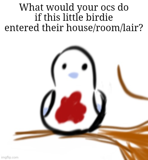 What would your ocs do if this little birdie entered their house/room/lair? | made w/ Imgflip meme maker