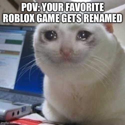 Deleted rename | POV: YOUR FAVORITE ROBLOX GAME GETS RENAMED | image tagged in crying cat | made w/ Imgflip meme maker