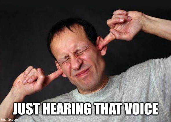 Fingers In Ears | JUST HEARING THAT VOICE | image tagged in fingers in ears | made w/ Imgflip meme maker