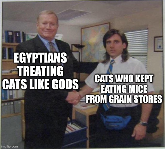 Official cat shake | EGYPTIANS TREATING CATS LIKE GODS; CATS WHO KEPT EATING MICE FROM GRAIN STORES | image tagged in the office handshake | made w/ Imgflip meme maker