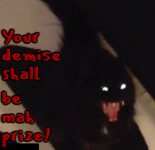 Your Demise | be mah prize! Your demise shall | image tagged in memes,cats,death,kill,possessed,psycho | made w/ Imgflip meme maker