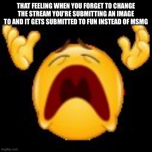 Crying Emoji | THAT FEELING WHEN YOU FORGET TO CHANGE THE STREAM YOU'RE SUBMITTING AN IMAGE TO AND IT GETS SUBMITTED TO FUN INSTEAD OF MSMG | image tagged in crying emoji | made w/ Imgflip meme maker