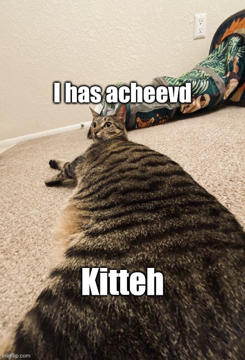 :) | I has acheevd; Kitteh | image tagged in long cat 2,cats,fresh memes,it came from the comments | made w/ Imgflip meme maker