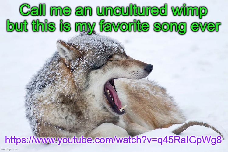 Seriously, it is an absolute banger | Call me an uncultured wimp but this is my favorite song ever; https://www.youtube.com/watch?v=q45RaIGpWg8 | image tagged in yawning wolf | made w/ Imgflip meme maker