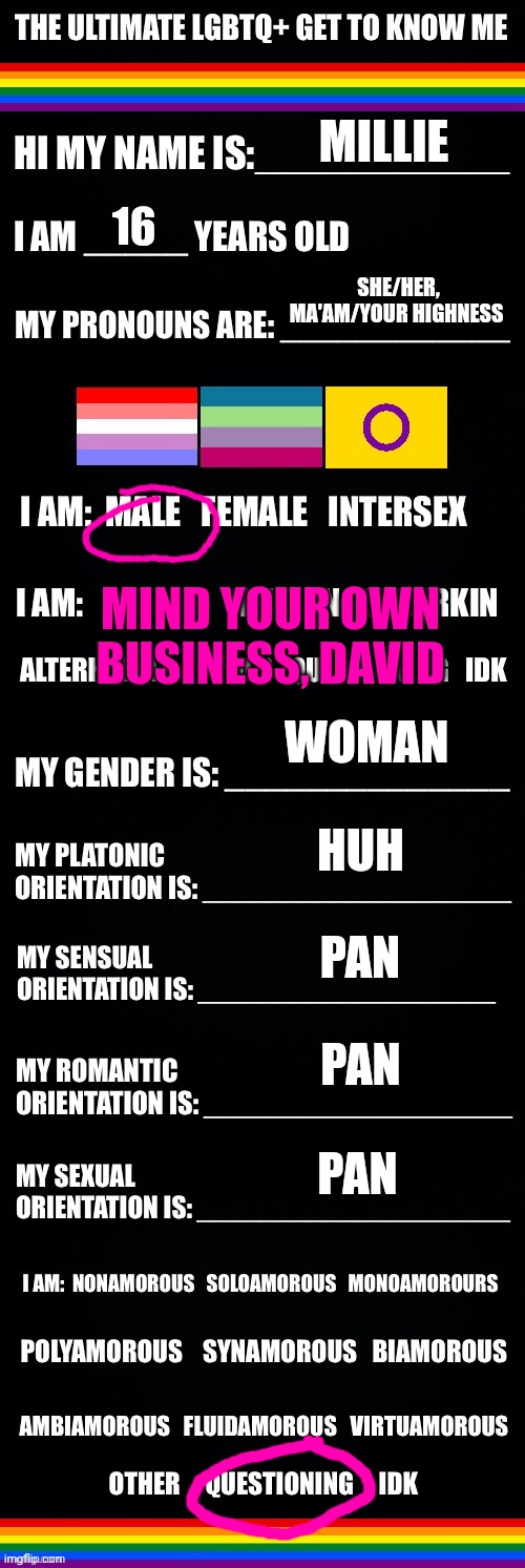 The ultimate LGBTQ+ get to know me | MILLIE; 16; SHE/HER, MA'AM/YOUR HIGHNESS; MIND YOUR OWN BUSINESS, DAVID; WOMAN; HUH; PAN; PAN; PAN | image tagged in the ultimate lgbtq get to know me | made w/ Imgflip meme maker