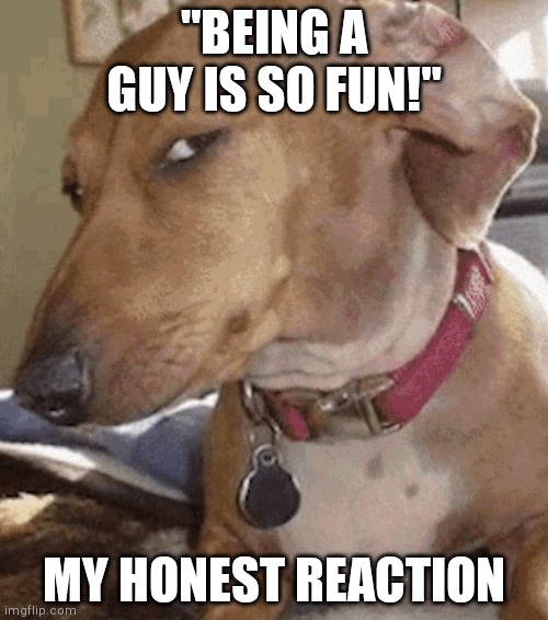 Side eye dog | "BEING A GUY IS SO FUN!"; MY HONEST REACTION | image tagged in side eye dog | made w/ Imgflip meme maker