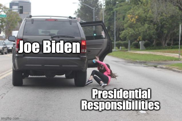 This is such a shame, I thought she smelled nice | Joe Biden; Presidential 
Responsibilities | image tagged in kicked out of car | made w/ Imgflip meme maker