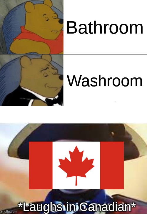 *Laughs in Canadian* | Bathroom; Washroom; *Laughs in Canadian* | image tagged in memes,tuxedo winnie the pooh,canada | made w/ Imgflip meme maker