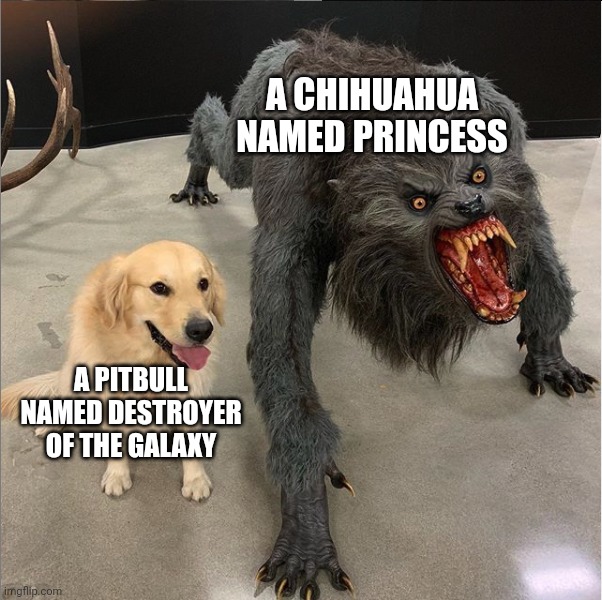 It's true tho | A CHIHUAHUA NAMED PRINCESS; A PITBULL NAMED DESTROYER OF THE GALAXY | image tagged in dog vs werewolf,dogs,pitbull,chihuahua | made w/ Imgflip meme maker