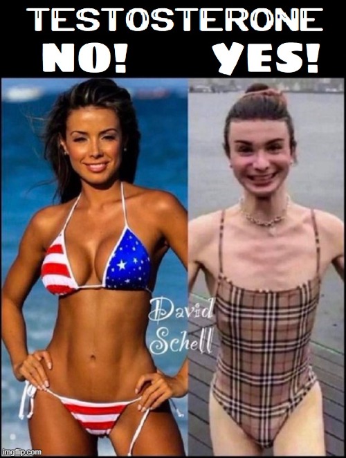 How would you like your woman: With or Without Testosterone? | image tagged in vince vance,bathing suit,swimsuit model,testosterone,dylan mulvaney,memes | made w/ Imgflip meme maker