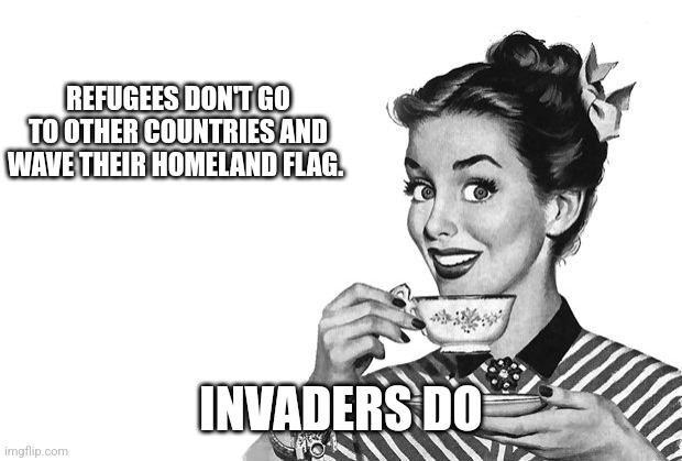 1950s Housewife | REFUGEES DON'T GO TO OTHER COUNTRIES AND WAVE THEIR HOMELAND FLAG. INVADERS DO | image tagged in 1950s housewife,funny memes | made w/ Imgflip meme maker