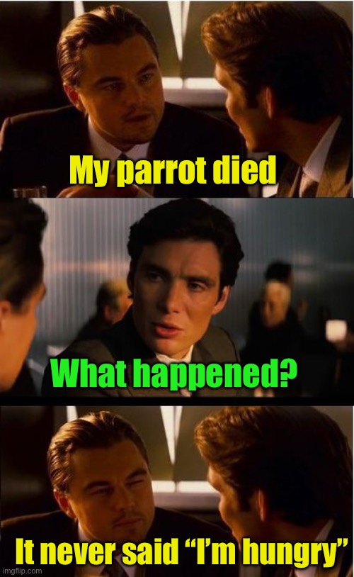 Pet Parrot | My parrot died; What happened? It never said “I’m hungry” | image tagged in memes,inception | made w/ Imgflip meme maker