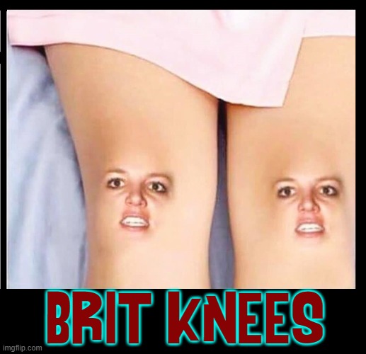 I don't care if she's crazy, I love her... well... both of her. | BRIT KNEES | image tagged in vince vance,britney spears,knees,goddess,memes,dream girl | made w/ Imgflip meme maker