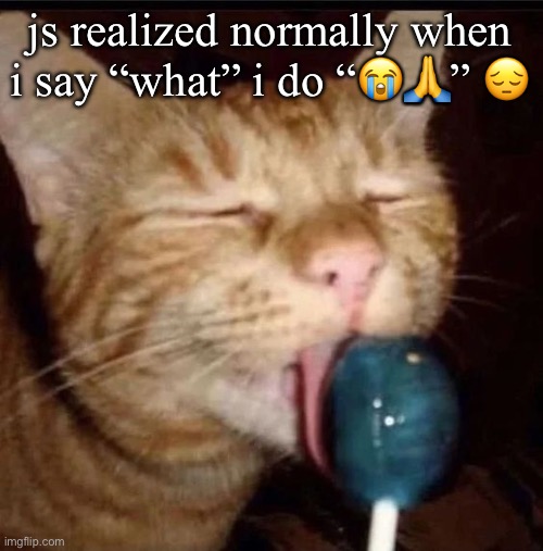 silly goober 2 | js realized normally when i say “what” i do “😭🙏” 😔 | image tagged in silly goober 2 | made w/ Imgflip meme maker