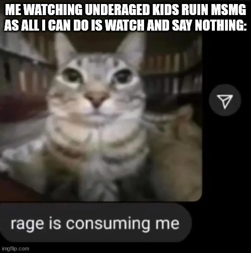 rage is consuming me | ME WATCHING UNDERAGED KIDS RUIN MSMG AS ALL I CAN DO IS WATCH AND SAY NOTHING: | image tagged in rage is consuming me | made w/ Imgflip meme maker