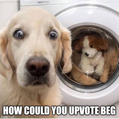 How could you | HOW COULD YOU UPVOTE BEG | image tagged in how could you | made w/ Imgflip meme maker