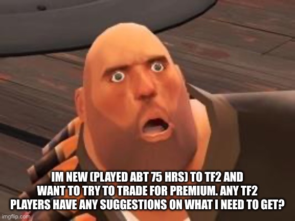 TF2 Heavy | IM NEW (PLAYED ABT 75 HRS) TO TF2 AND WANT TO TRY TO TRADE FOR PREMIUM. ANY TF2 PLAYERS HAVE ANY SUGGESTIONS ON WHAT I NEED TO GET? | image tagged in tf2 heavy | made w/ Imgflip meme maker