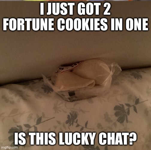 Fr is this lucky? | I JUST GOT 2 FORTUNE COOKIES IN ONE; IS THIS LUCKY CHAT? | image tagged in lucky | made w/ Imgflip meme maker