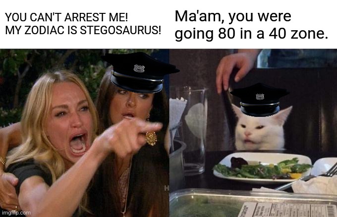 Woman Yelling At Cat | YOU CAN'T ARREST ME! MY ZODIAC IS STEGOSAURUS! Ma'am, you were going 80 in a 40 zone. | image tagged in memes,woman yelling at cat | made w/ Imgflip meme maker
