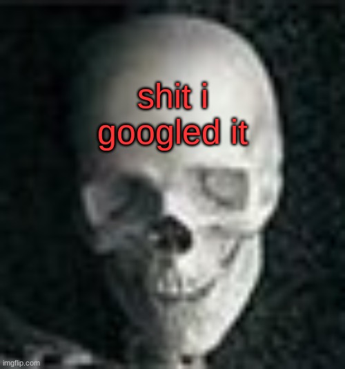 Skull | shit i googled it | image tagged in skull | made w/ Imgflip meme maker