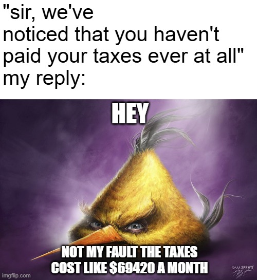 tax evasion | "sir, we've noticed that you haven't paid your taxes ever at all" 
my reply:; HEY; NOT MY FAULT THE TAXES COST LIKE $69420 A MONTH | image tagged in realistic yellow angry bird,bruh moment | made w/ Imgflip meme maker