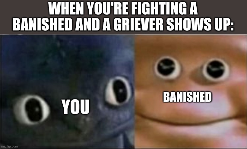 help | WHEN YOU'RE FIGHTING A BANISHED AND A GRIEVER SHOWS UP:; BANISHED; YOU | image tagged in blank stare dragon | made w/ Imgflip meme maker