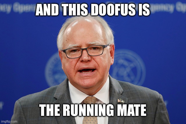 Tim Walz calls things weird | AND THIS DOOFUS IS THE RUNNING MATE | image tagged in tim walz calls things weird | made w/ Imgflip meme maker