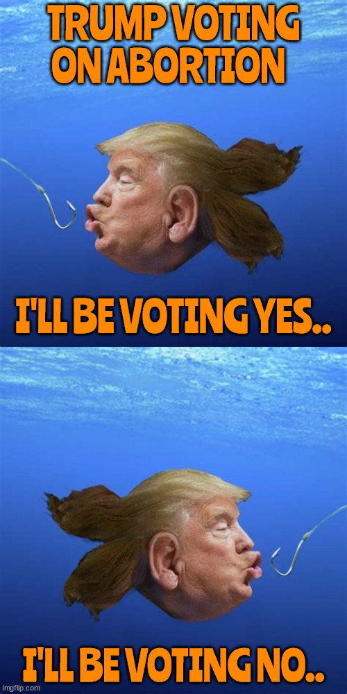 Florida flipper-fish | TRUMP VOTING ON ABORTION; I'LL BE VOTING YES.. I'LL BE VOTING NO.. | image tagged in trumo in termiol,flip-flopper,he-man woman haters club,dictatator for a day,yes on ivf,another whooper | made w/ Imgflip meme maker