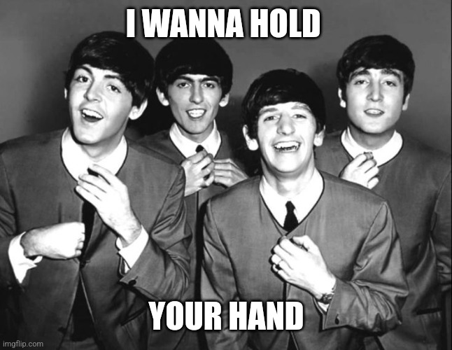 the beatles | I WANNA HOLD YOUR HAND | image tagged in the beatles | made w/ Imgflip meme maker