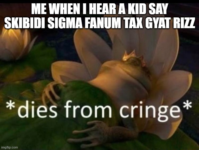 *dies of cringe* | ME WHEN I HEAR A KID SAY SKIBIDI SIGMA FANUM TAX GYAT RIZZ | image tagged in dies of cringe | made w/ Imgflip meme maker