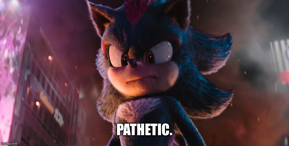 Shadow the Hedgehog | PATHETIC. | image tagged in pathetic,skinner pathetic | made w/ Imgflip meme maker