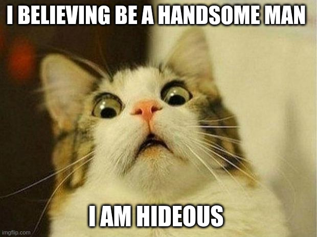 hideous | I BELIEVING BE A HANDSOME MAN; I AM HIDEOUS | image tagged in memes,scared cat | made w/ Imgflip meme maker