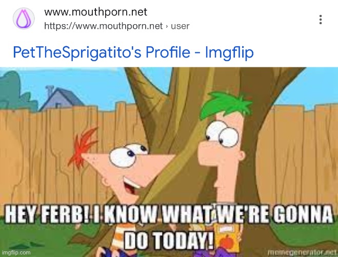 Why… | image tagged in hey ferb i know what we're gonna do today | made w/ Imgflip meme maker