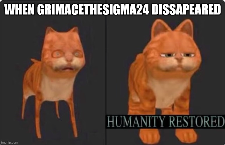 humanity restored | WHEN GRIMACETHESIGMA24 DISSAPEARED | image tagged in humanity restored | made w/ Imgflip meme maker